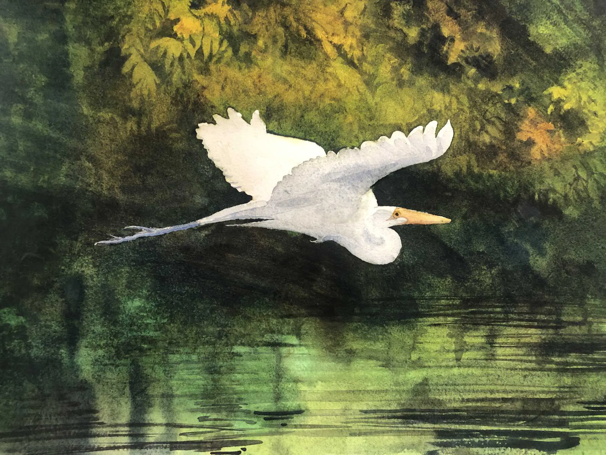 A painting of an egret flying over the water.