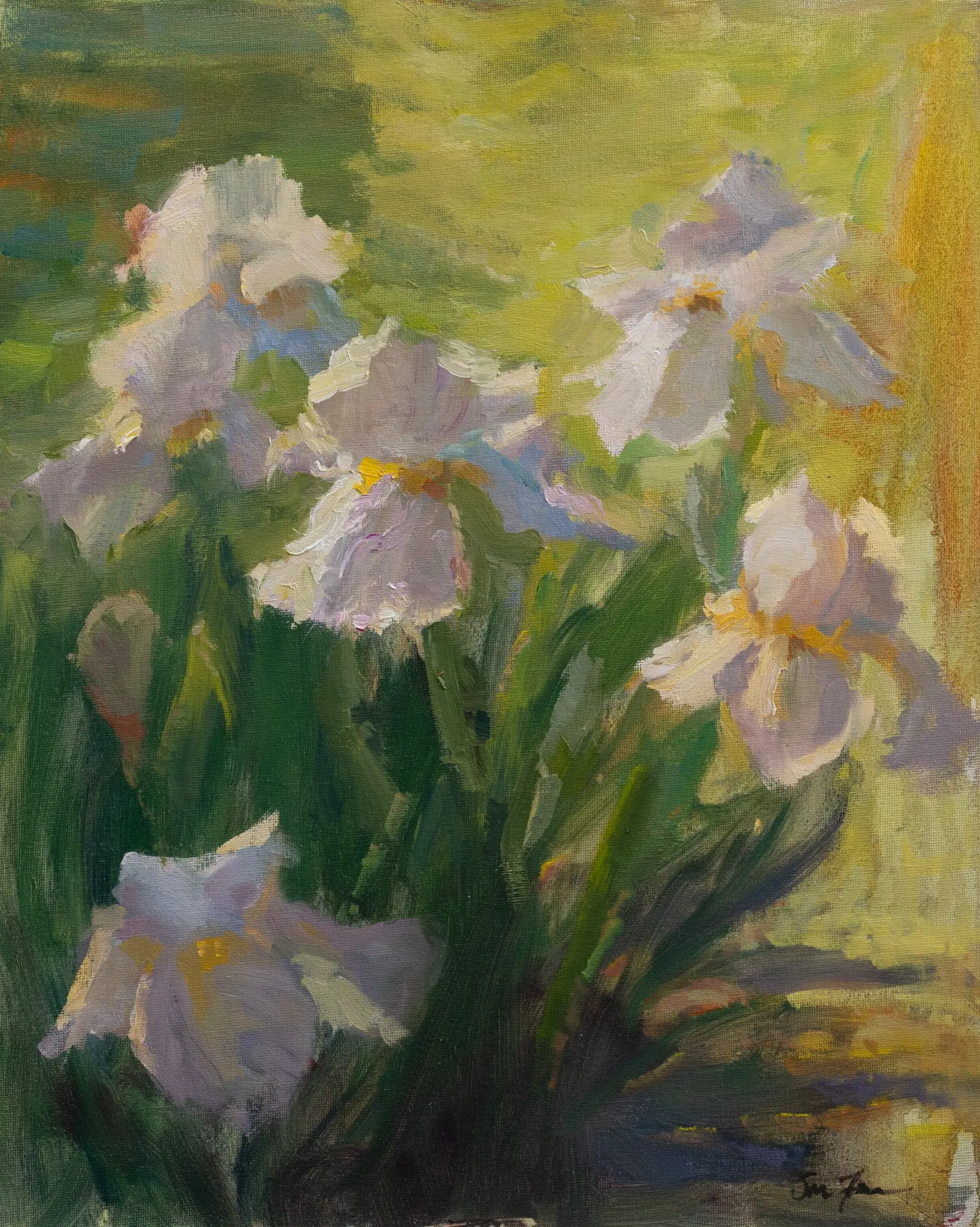 A painting of white flowers in the sunlight.